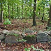 Bjørnemose Skålsten, Svendborg