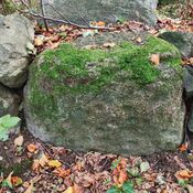 Bjørnemose Skålsten, Svendborg