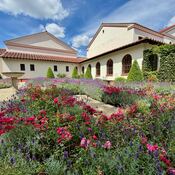 The gardens of the roman villa of Borg