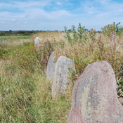 Capeshøj