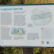 Capeshøj
