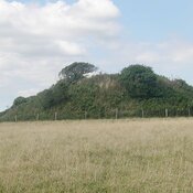 Carne Beacon