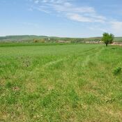 Castra of Hoghiz - View from South-East