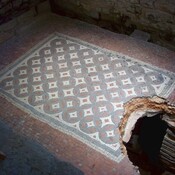 Tepidarium mosaic