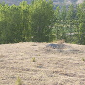 Pontic Comana - landscape