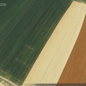 Possible Roman buildings