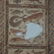 Dar Buc Ammera, four seasons