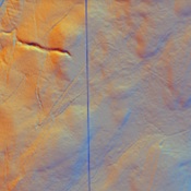 Raeburnfoot Temporary Camp