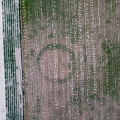 Den Heksennest_drone_002