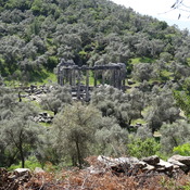 Temple of Euromos
