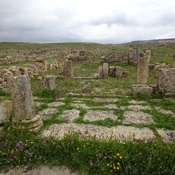 Madaurius