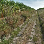 roman road between Bavay and Cambrai