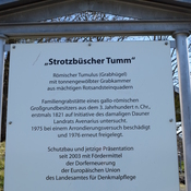 Grabtumulus Strotzbüsch