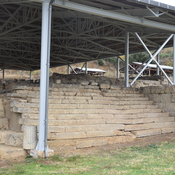 Amphipolis gymansium