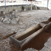 Amphipolis gymansium