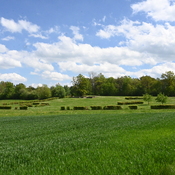 Villa rustica Roderath