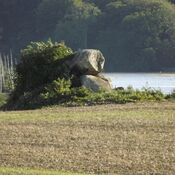 Vester Aaby Dyssekammer