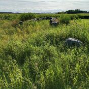 Vester Aaby jættestue