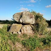 Vester Aaby Dyssekammer