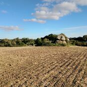 Vester Aaby Dyssekammer