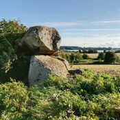 Vester Aaby Dyssekammer