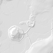 Shropshire's hill forts