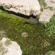 Eflatunpınar - Hittite sanctuary