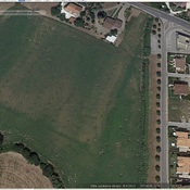 Roman vineyard
