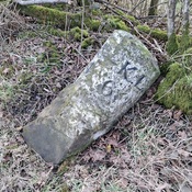 Fallewn Milestone2