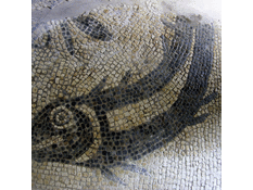 Mosaic floor at Great Witcombe Roman Villa