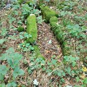 Folehave Skov Stenkiste