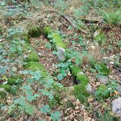 Folehave Skov Stenkiste