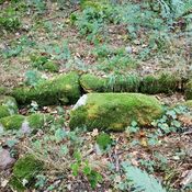 Folehave Skov Stenkiste