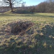 Gammel Hestehave Cist