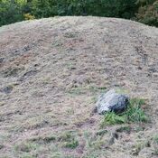 Gammel Hestehave Mound (41179)
