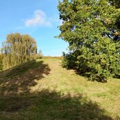 Gammel Hestehave Mound (411712)
