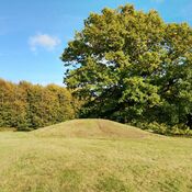 Gammel Hestehave Mound (411713)