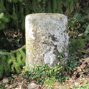 Säulenfragment aus Muschelsandstein