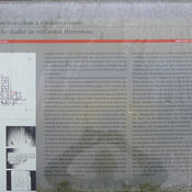 Schautafel 6