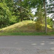 Gammel Hestehave, Høj 41175