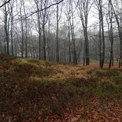 Hoog Soeren, Bronze Age tombs