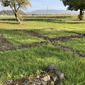 Hufschmiede