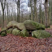 Dolmen D11 Anloo