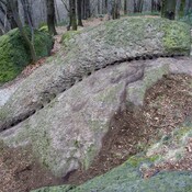 Römische Steinbruchspuren können im Park von Schloss Drachenburg auf dem Drachenfels besichtigt werden