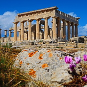 Temple of Aphaia