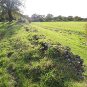 Silchester wall