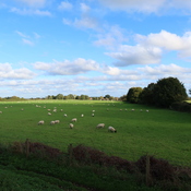 vue de Silchester