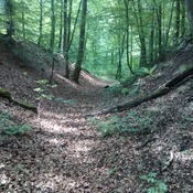 Via Belgica Königsdorfer Forst