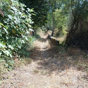 Walled path towards the river