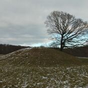 Gammel Hestehave mound (411710)